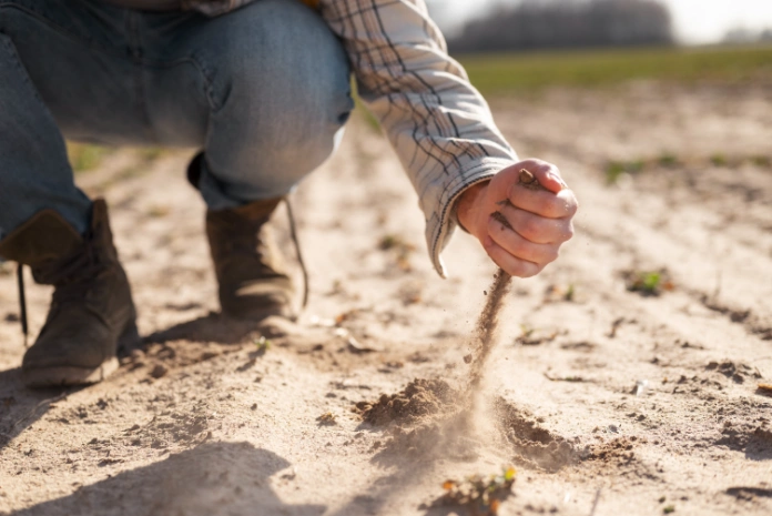 Common Soil Problems in Bangalore and How Testing Prevents Construction Delays